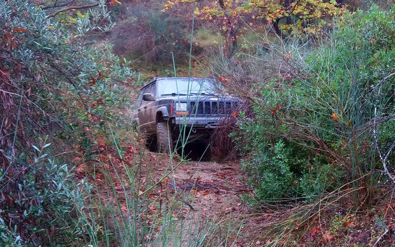 Join us to see how a real 4WD vehicle drives off-road