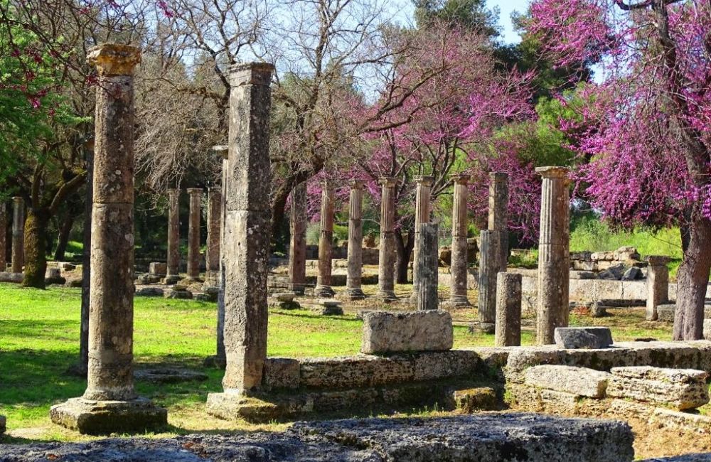 The museum and the sacred venue of the Olympic Games in antiquity
