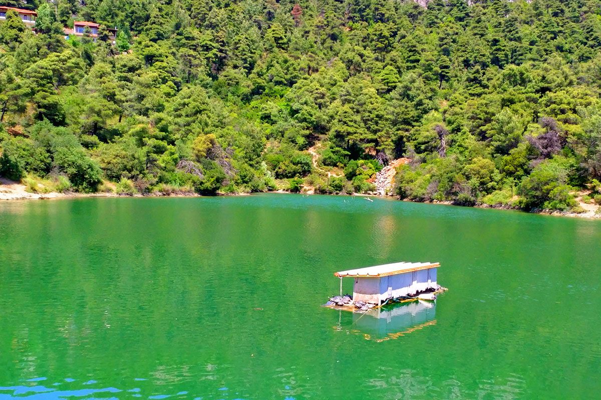 Lake Beletsi  the nature has corrected a human fault and made and incredible beautiful lake with turtles swans and amazing views