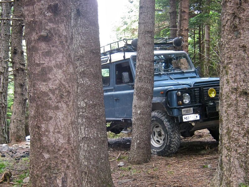 Διαδρομή SUV 4χ4 στα δάση Καστανίας και Ελάτης του Πάρνωνα για να μαθαίνουμε τα μυστικά της μανιταροσυλλογής και να δοκιμάσουμε τις μοναδικές τους γεύσεις με ασφάλεια.